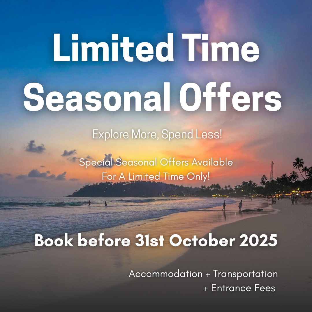 Colorful Travel to Orlando Offer Instagram Post